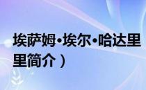 埃萨姆·埃尔·哈达里（关于埃萨姆·埃尔·哈达里简介）