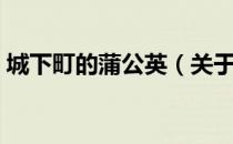 城下町的蒲公英（关于城下町的蒲公英简介）