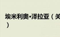 埃米利奥·泽拉亚（关于埃米利奥·泽拉亚简介）