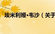 埃米利娅·韦沙（关于埃米利娅·韦沙简介）