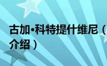 古加·科特提什维尼（关于古加·科特提什维尼介绍）