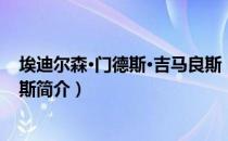 埃迪尔森·门德斯·吉马良斯（关于埃迪尔森·门德斯·吉马良斯简介）