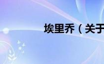 埃里乔（关于埃里乔简介）
