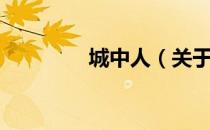 城中人（关于城中人简介）