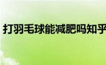 打羽毛球能减肥吗知乎（打羽毛球能减肥吗）