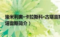 埃米利奥·卡拉斯科·古塔雷斯（关于埃米利奥·卡拉斯科·古塔雷斯简介）
