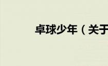 卓球少年（关于卓球少年简介）