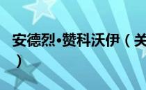 安德烈·赞科沃伊（关于安德烈·赞科沃伊介绍）
