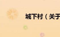 城下村（关于城下村简介）