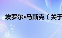 埃罗尔·马斯克（关于埃罗尔·马斯克简介）