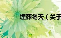 埋葬冬天（关于埋葬冬天简介）