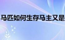 卓越绩效评价准则（关于卓越绩效评价准则简介）