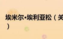 埃米尔·埃利亚松（关于埃米尔·埃利亚松简介）