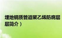 埋地钢质管道聚乙烯防腐层（关于埋地钢质管道聚乙烯防腐层简介）