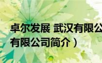 卓尔发展 武汉有限公司（关于卓尔发展 武汉有限公司简介）