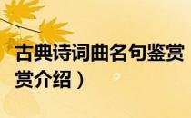 古典诗词曲名句鉴赏（关于古典诗词曲名句鉴赏介绍）