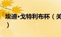 埃迪·戈特利布杯（关于埃迪·戈特利布杯简介）
