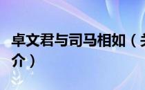 卓文君与司马相如（关于卓文君与司马相如简介）