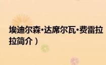 埃迪尔森·达席尔瓦·费雷拉（关于埃迪尔森·达席尔瓦·费雷拉简介）