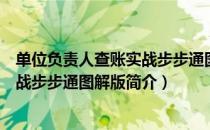 单位负责人查账实战步步通图解版（关于单位负责人查账实战步步通图解版简介）