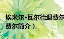 埃米尔·瓦尔德退费尔（关于埃米尔·瓦尔德退费尔简介）