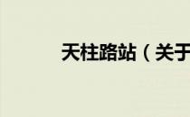 天柱路站（关于天柱路站简介）