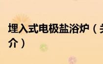 埋入式电极盐浴炉（关于埋入式电极盐浴炉简介）
