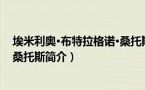 埃米利奥·布特拉格诺·桑托斯（关于埃米利奥·布特拉格诺·桑托斯简介）