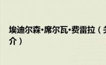 埃迪尔森·席尔瓦·费雷拉（关于埃迪尔森·席尔瓦·费雷拉简介）