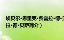 埃贝尔·恩里克·费雷拉·德·贝萨（关于埃贝尔·恩里克·费雷拉·德·贝萨简介）