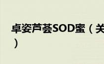 卓姿芦荟SOD蜜（关于卓姿芦荟SOD蜜简介）