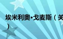 埃米利奥·戈麦斯（关于埃米利奥·戈麦斯简介）