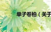 单子卷柏（关于单子卷柏简介）