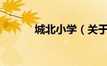 城北小学（关于城北小学简介）