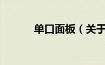单口面板（关于单口面板简介）