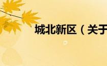 城北新区（关于城北新区简介）
