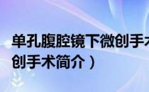 单孔腹腔镜下微创手术（关于单孔腹腔镜下微创手术简介）