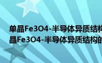 单晶Fe3O4-半导体异质结构的自旋相关输运研究（关于单晶Fe3O4-半导体异质结构的自旋相关输运研究简介）