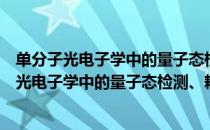 单分子光电子学中的量子态检测、耦合与转化（关于单分子光电子学中的量子态检测、耦合与转化简介）