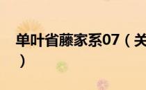 单叶省藤家系07（关于单叶省藤家系07简介）