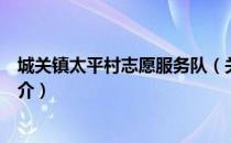 城关镇太平村志愿服务队（关于城关镇太平村志愿服务队简介）