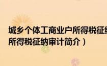 城乡个体工商业户所得税征纳审计（关于城乡个体工商业户所得税征纳审计简介）