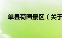 单县荷园景区（关于单县荷园景区简介）