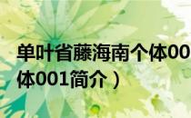 单叶省藤海南个体001（关于单叶省藤海南个体001简介）