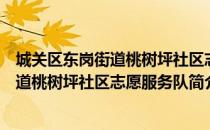 城关区东岗街道桃树坪社区志愿服务队（关于城关区东岗街道桃树坪社区志愿服务队简介）