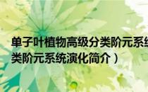 单子叶植物高级分类阶元系统演化（关于单子叶植物高级分类阶元系统演化简介）
