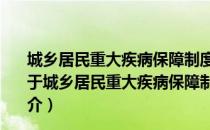 城乡居民重大疾病保障制度模式、效应评估与对策研究（关于城乡居民重大疾病保障制度模式、效应评估与对策研究简介）