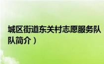 城区街道东关村志愿服务队（关于城区街道东关村志愿服务队简介）