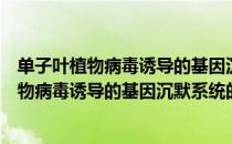 单子叶植物病毒诱导的基因沉默系统的构建（关于单子叶植物病毒诱导的基因沉默系统的构建简介）