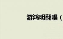 游鸿明翻唱（游鸿明新歌）